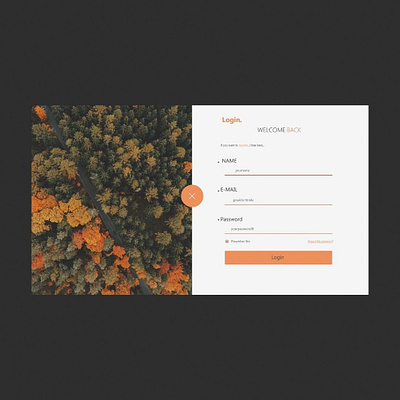 Log in design illustration log in typography ui uiux ux web website