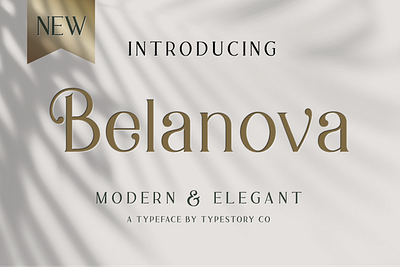 Belanova - Modern Serif Font brand design elegant elegant font elegant fonts elegant typeface font font design fonts fonts collection logo logo fonts modern modern typeface sans serif sans serif font sans serif typeface serif serif font serif fonts