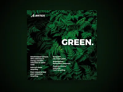 Antex Green design graphic design poster design