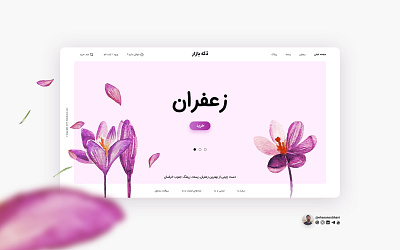 DakeBazar color creative custom icons design illustration ui ui ux design vector web webdeisgn