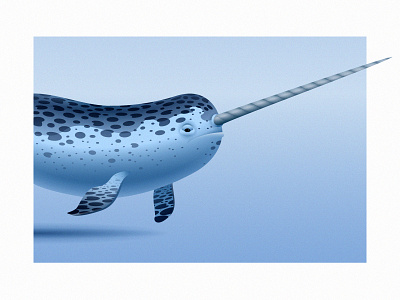 Narwhal whale 2d adobe anano animal flat gradient illustration texture vector