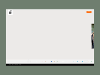 WWF 40th anniversary website animation art direction causes digital experience experience design interaction interactive design interface interface design timeline ui ui design user experience user experience design user interface ux webdesign website website design