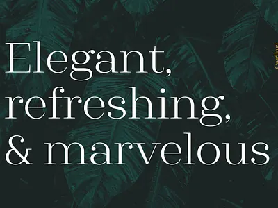 Cagliari Font design font font design fonts graphic design lettering logo fonts retro font serif serif font serif fonts serif logo serif typeface serifs text font type design typeface typefaces typography vintage font