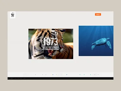 WWF 40th years website animation art direction design digital experience graphic design interaction interactive design interface interface design layout timeline ui ui design ux ux design web web design website layout wwf