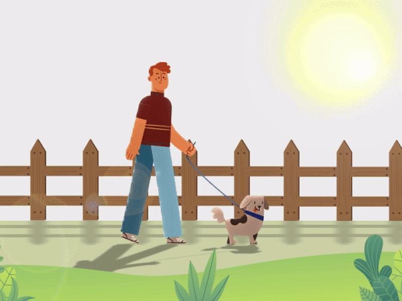 walk with my dog 2d aftereffects animation art branding character animation character design design digital illustration digital painting fun illustration keyframes morning motion photoshop ui walk