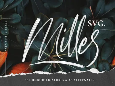 Milles Svg - Unique Handwriting Font design font font design fonts graphic design handlettering handwriting handwriting font handwriting fonts lettering logo font script script font svg svg font svg logo svg typeface typeface typefaces typography