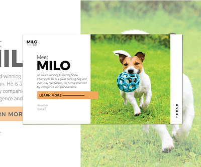 Milo JRT WebDesign concept art design webdesign