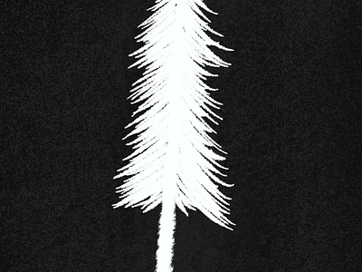 Tree 3 doodle evergreen lines procreate sketch texture tree winter