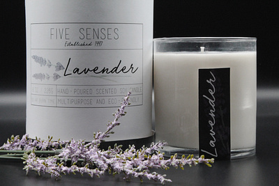 Five Senses Candle branding design graphic design illustration packaging