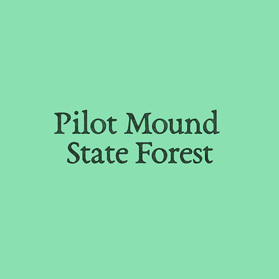 Pilot Mound State Forest branding challenge design forest logo logotype opentypefoundry typeface typography