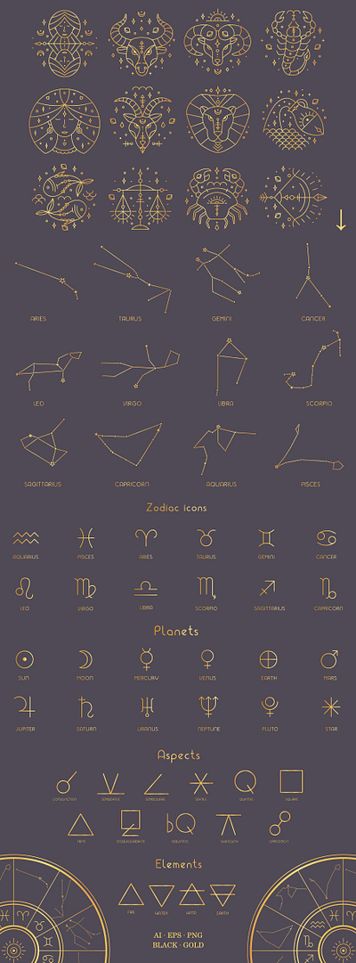 Zodiac Signs Gold astrology golden hand drawn horoscope illustration minimal template vector zodiac zodiac sign