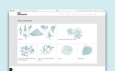 Website for torf corporation art design dinksy drawing graphic illustration illustrations typography ui ux website website design