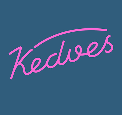 Kedves budapest design hungarian lettering neon neonlights neonsign neontubes typographic typography vector vintage