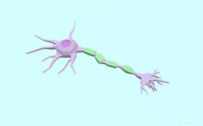 Low-poly Neuron 3dmodel lowpoly maya neuron