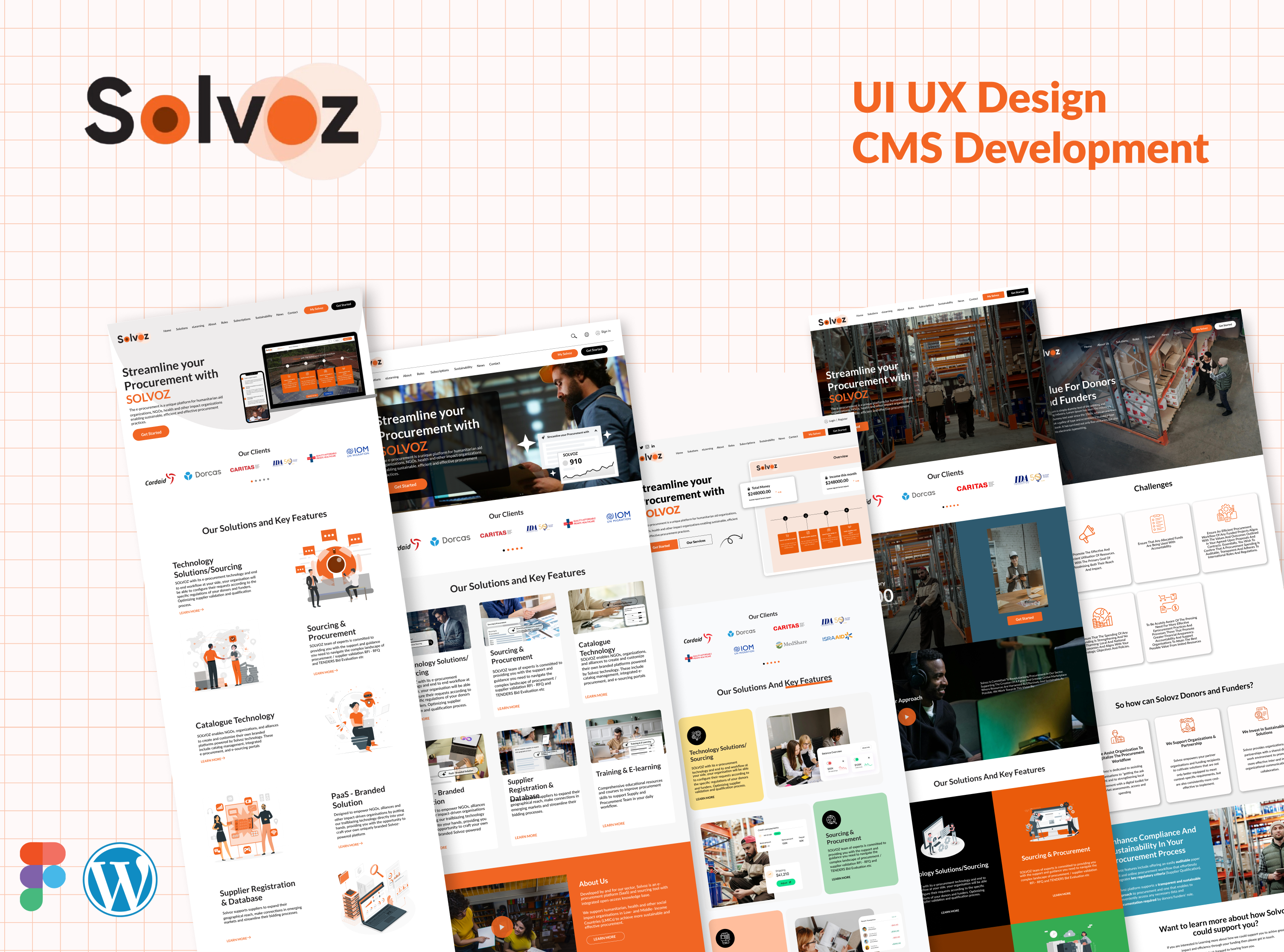 Example of Custom Web Design & Development