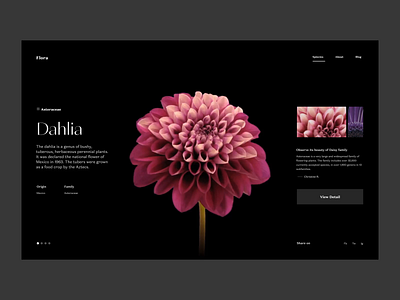 Flora - Flower Website Concept animation concept daisy design hero inspiration interaction landing page landingpage minimal motion nature plant product transition typogaphy ui ux website