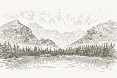 Longs Peak forest landscape line line art line work linework mountains nature outdoors pen and ink traditional trees