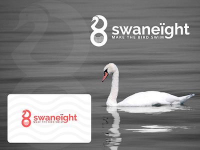 Swan + Eight branding creative design eight icon logo logo design logotype minimal orange logo swan swan logo unique unique logo vector water wave white