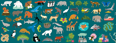 Endangered Animals Illustrations animals animals illustrated butterfly frog illustration leopard monkey orangutan parrot polar bear rhino shark tapir vector whale