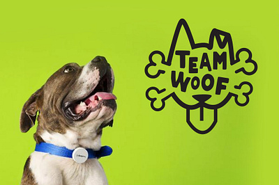 Team woof logo branding cute design dog dogs logo