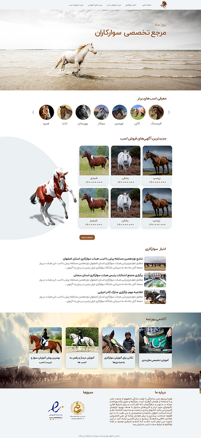 Horse riding website design dribbble horse riding ui ux web website اسب سواری قالب سایت یورتمه
