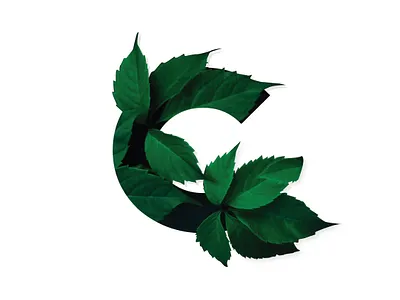 C Typography Leaves adobe animation branding design illustration illustrator page product typography vector website