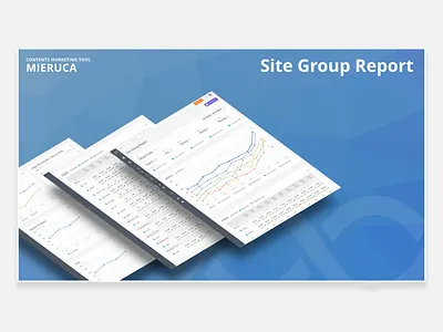 MIERUCA b2b chart marketing tools ui