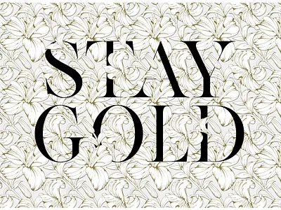 Kenjo Font Duo + Free Sans Typeface classic font elegant font font font design font duo font family fonts fonts collection graphic design lettering logo font logo fonts logotype retro font type design typeface typefaces typography vintage font vintage lettering