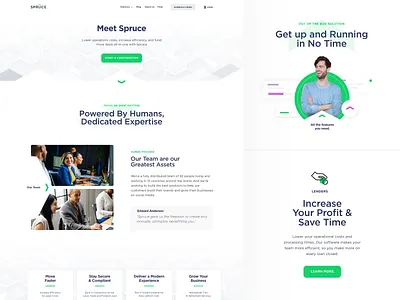 Spruce architecture branding clean escrow green illustration images landing minimal minimalistic pattern real estate typography ux website