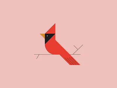 cardinal cardinal illustration