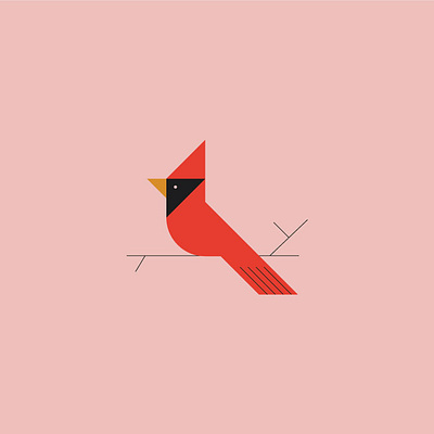 cardinal cardinal illustration