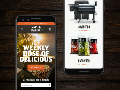 Traeger Wood Fired Grills e commerce ecommerce web design website