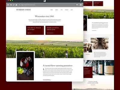 2019 Weekly Design #50/52 adobe xd design farm homepage ui uidesign uipractice vineyard web website wine winery