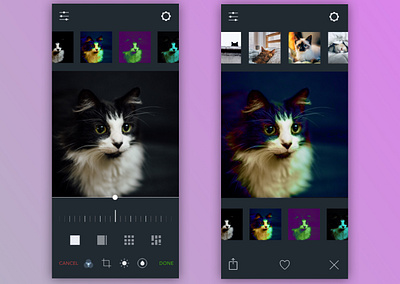 Tuxedo Cat Photo Settings cats daily ui daily ui challenge dailyui dark mode design mobile design mobile ui photography settings ui design visual design