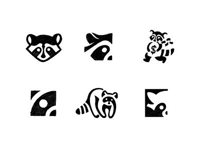 Raccoon logo - concept sketches brand identity branding design icon illustration logo logodesign raccoon sketch