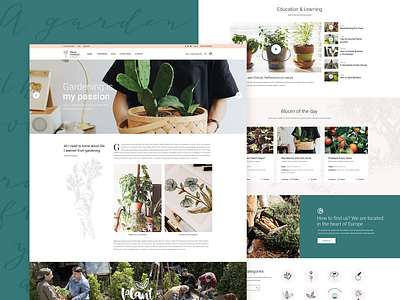 Sunny Orchard 🌱🥕 design donations events farm florist flower shop gardening green landing landingpage landscape modern orchard organic plants shop theme ui ux