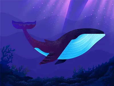 Whale illustration sea under water whale
