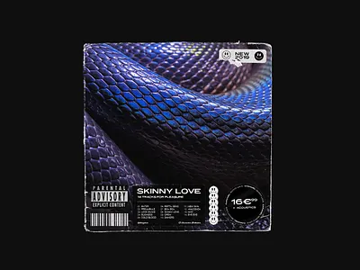 Cd cover branding cd artwork cd cover cd design cover cover art cover design creative music snake snakecover vinyl vinyl cover vinylcover