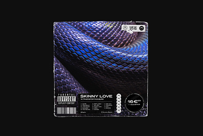 Cd cover branding cd artwork cd cover cd design cover cover art cover design creative music snake snakecover vinyl vinyl cover vinylcover