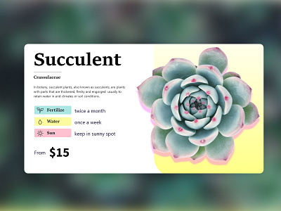 Plant info app art challenge clean design illustration responsive ui ux web