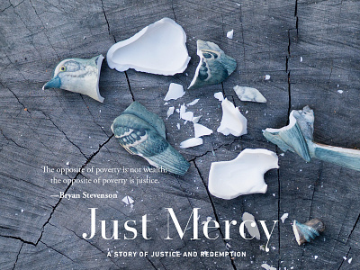 UCSB Reads Just Mercy library mockingbird porcelain ucsb