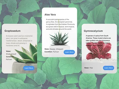 DailyUI 045 - Info Card daily 100 challenge dailyui045 dailyui45 info infocard mobile mobile app plant