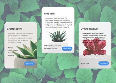 DailyUI 045 - Info Card daily 100 challenge dailyui045 dailyui45 info infocard mobile mobile app plant