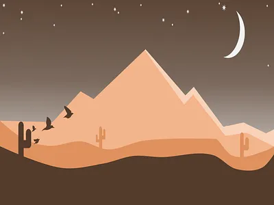 Desert Night Flat animation design illustration