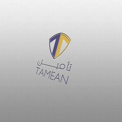 Insurance LOGO brand design graphic illustrator insurance logo