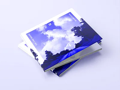 Album Art for The Land Behind album blue branding case cd chiptune compact disc cover design digital digital art graphic logo lsdj mockup monochrome photography trifold typography