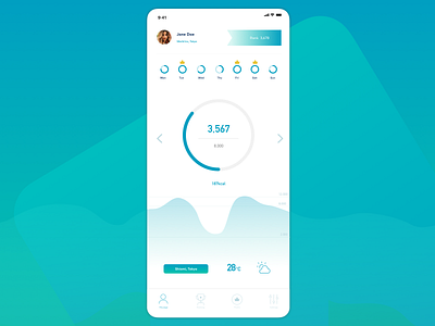 Step Counter App app ui