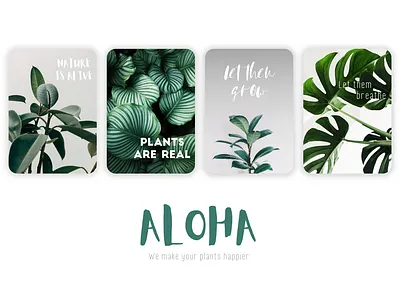 Aloha Project - Plants and leaves remedy concept design leaves nature plants ui