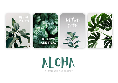 Aloha Project - Plants and leaves remedy concept design leaves nature plants ui