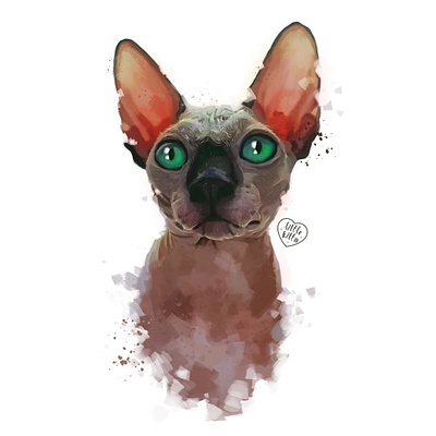 Sphynx cat adobe photoshop art artist cat cats character design design digital art illustration portrait sphynx sphynx cat